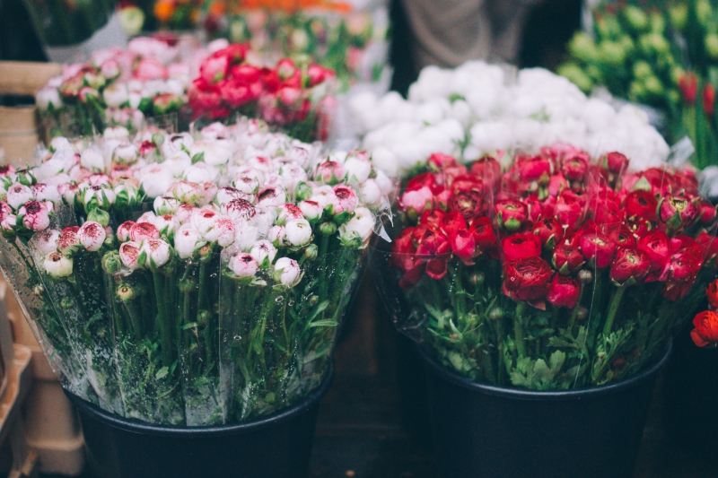 fleuriste-AIGLUN-min_farmers-market-1209712